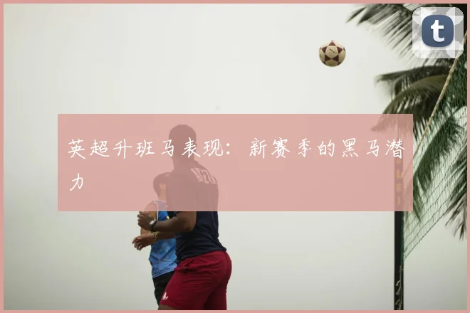 英超升班马表现：新赛季的黑马潜力