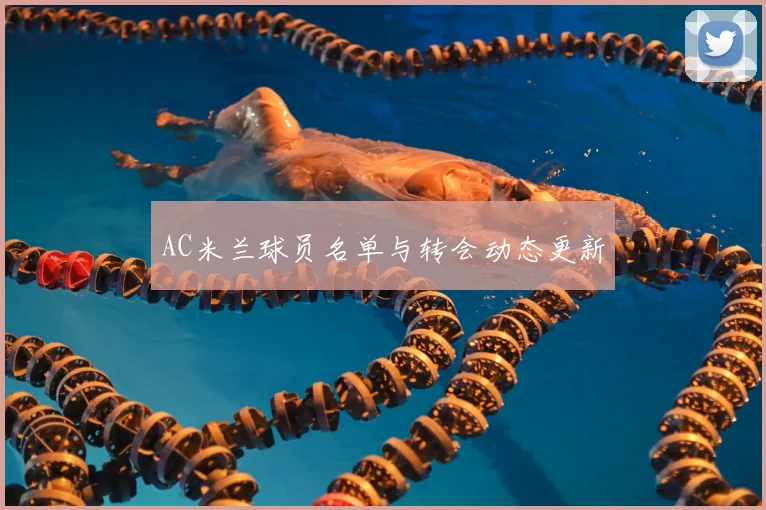 AC米兰球员名单与转会动态更新